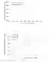 Fig. 07 - Seawater fluidized ice manufacturing equipment and method