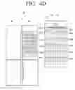 Fig. 09 - Refrigerator and method of food management thereof