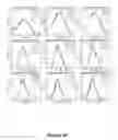 Fig. 45 - Uniform, Functionalized, Cross-Linked Nanostructures for Monitoring pH