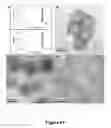 Fig. 63 - Uniform, Functionalized, Cross-Linked Nanostructures for Monitoring pH