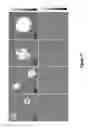 Fig. 69 - Uniform, Functionalized, Cross-Linked Nanostructures for Monitoring pH