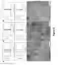 Fig. 79 - Uniform, Functionalized, Cross-Linked Nanostructures for Monitoring pH