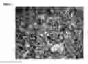 Fig. 02 - METHODS OF DIAGNOSING DEFECTS IN A PROCESSING UNIT OR HYDRUALIC FRACTURING PROCESS BY ANALYZING SOLID PARTICLES FROM THE PROCESSING UNIT OR HYDRUALIC FRACTURING PROCESS
