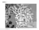 Fig. 18 - METHODS OF DIAGNOSING DEFECTS IN A PROCESSING UNIT OR HYDRUALIC FRACTURING PROCESS BY ANALYZING SOLID PARTICLES FROM THE PROCESSING UNIT OR HYDRUALIC FRACTURING PROCESS