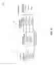 Fig. 12 - SECURE ELECTRONIC TRANSACTION AUTHENTICATION