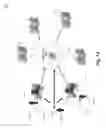 Fig. 14 - SECURE ELECTRONIC TRANSACTION AUTHENTICATION