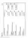 Fig. 08 - ELECTRONIC PAYMENT CARD SYSTEMS AND METHODS WITH ROGUE AUTHORIZATION CHARGE IDENTIFICATION AND RESOLUTION