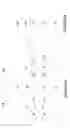 Fig. 07 - Semiconductor device having fins