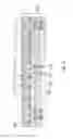Fig. 05 - Image-capturing element manufacturing method, image-capturing element and image-capturing device