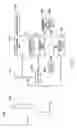 Fig. 23 - Image-capturing element manufacturing method, image-capturing element and image-capturing device