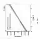 Fig. 25 - Oxide heterostructures having spatially separated electron-hole bilayers
