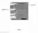 Fig. 06 - Thin film transistor with carbon nanotubes