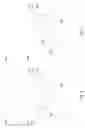 Fig. 05 - V-shape recess profile for embedded source/drain epitaxy