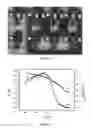 Fig. 10 - Organic polymer gate dielectric material for transistor devices