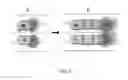 Fig. 04 - Carbon nanotube array