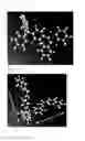 Fig. 07 - Heterocyclic compound and organic light emitting element comprising same