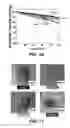 Fig. 11 - Hybrid separators and the manufacture thereof