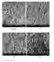 Fig. 03 - Compositions for preparing expander free electrodes for lead acid battery and performance thereof