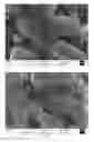 Fig. 02 - Preparation method of modified positive electrode active material