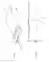 Fig. 05 - Antenna and method for steering antenna beam direction for WiFi applications