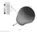 Fig. 07 - Patch antenna unit and antenna