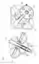 Fig. 18 - Dual-polarized antenna