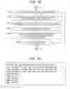 Fig. 16 - Data processing device and data processing method