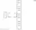 Fig. 06 - System and method for ground based beam forming (GBBF) for very high throughput satellite (VHTS) systems