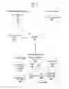 Fig. 02 - Web services-based data transfers for item management