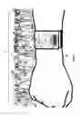 Fig. 09 - Methods for location of persons using beaconing sequences