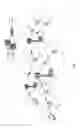 Fig. 02 - Channel and sync raster signaling