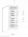Fig. 02 - Cabinet system of data center