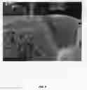 Fig. 09 - ULTRADWARF BERMUDAGRASS CALLED 