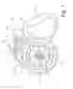 Fig. 02 - RETRACTABLE LEASH FOR ROLLING UP AND UNROLLING A LEASH