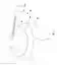 Fig. 06 - Animal trap device