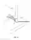Fig. 07 - Knotless lateral row implant