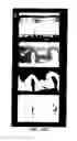 Fig. 40 - COMPOSITIONS AND METHODS FOR TREATING AND DIAGNOSING OCULAR DISORDERS