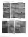 Fig. 41 - COMPOSITIONS AND METHODS FOR TREATING AND DIAGNOSING OCULAR DISORDERS