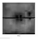 Fig. 64 - COMPOSITIONS AND METHODS FOR TREATING AND DIAGNOSING OCULAR DISORDERS