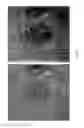 Fig. 65 - COMPOSITIONS AND METHODS FOR TREATING AND DIAGNOSING OCULAR DISORDERS