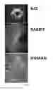 Fig. 71 - COMPOSITIONS AND METHODS FOR TREATING AND DIAGNOSING OCULAR DISORDERS