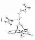 Fig. 08 - Tianeptine oxalate salts and polymorphs