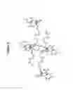 Fig. 09 - Tianeptine oxalate salts and polymorphs