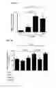 Fig. 06 - IL-34 ANTISENSE OLIGONUCLEOTIDES AND METHODS OF USING SAME