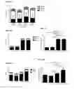 Fig. 07 - IL-34 ANTISENSE OLIGONUCLEOTIDES AND METHODS OF USING SAME