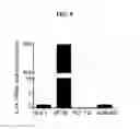 Fig. 10 - IL-34 ANTISENSE OLIGONUCLEOTIDES AND METHODS OF USING SAME