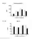 Fig. 06 - METHODS FOR TREATMENT OF ATHEROSCLEROSIS
