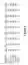 Fig. 15 - PEPTIDOMIMETIC MACROCYCLES