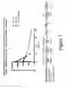 Fig. 16 - PEPTIDOMIMETIC MACROCYCLES