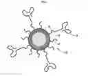 Fig. 02 - Therapeutic Nanoparticles Comprising An Antibiotic and Methods of Making and Using Same
